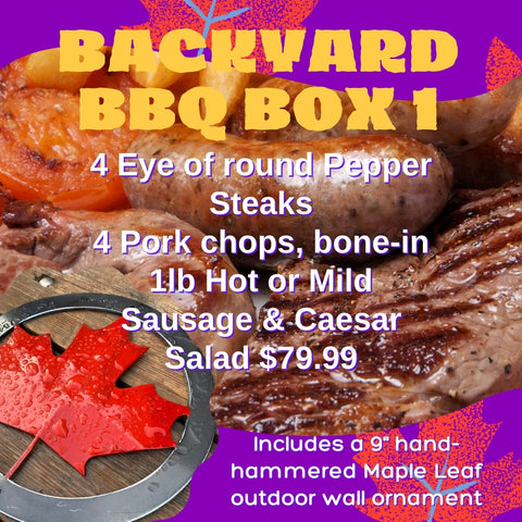 Backyard BBQ BOX1